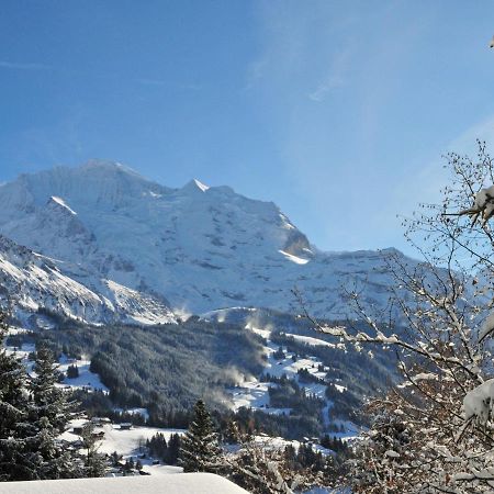 Apartment Sulegg By Interhome Wengen Zewnętrze zdjęcie