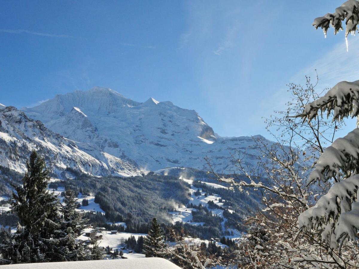 Apartment Sulegg By Interhome Wengen Zewnętrze zdjęcie